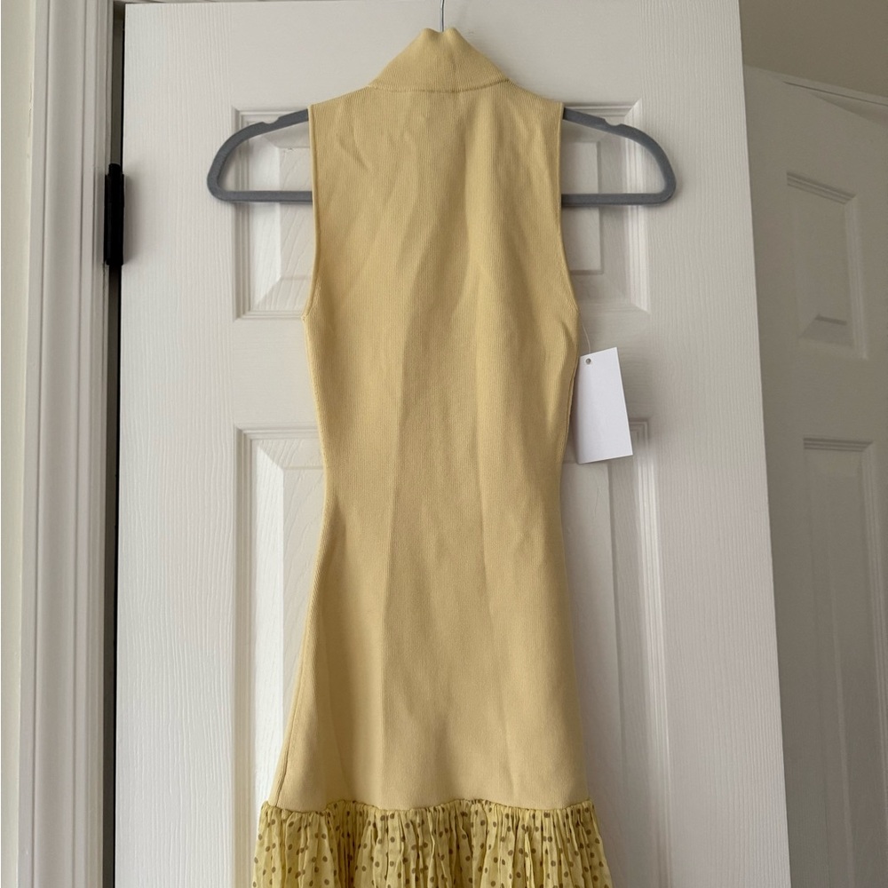 HELSA Costanza Gown Sheer Polka Dot Skirt Butter Yellow NEW with tag - Picture 6 of 10